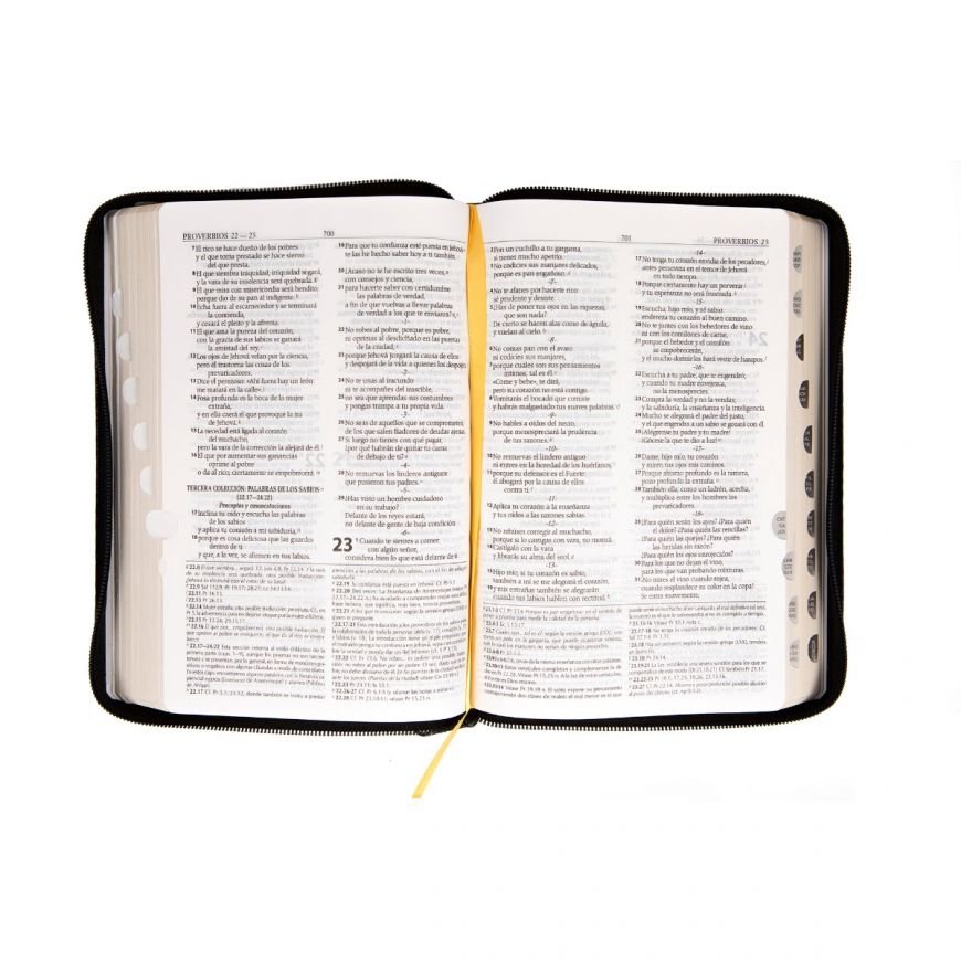 Biblia Reina Valera 1995 – Edición de Estudio - Piel Indice Cierre - Image 4