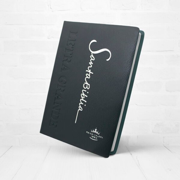 Biblia RVR1960 Letra Grande 12 puntos