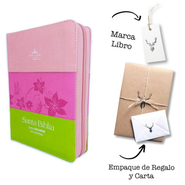 Biblia Reina Valera 1960 Letra Grande 11 puntos Piel Tricolor Rosa/Fucsia/Lima con cierre y con índice
