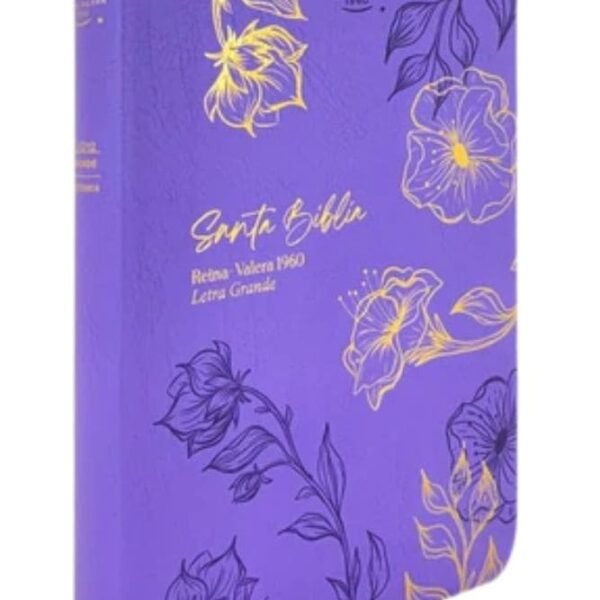 RVR60 Biblia Obsequio y Premios Letra Grande Imitación Piel - Morado