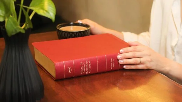 Biblia de estudio trasfondo cultural RVR (El contexto lo cambia todo) Leathersoft Rojo vino - Image 3