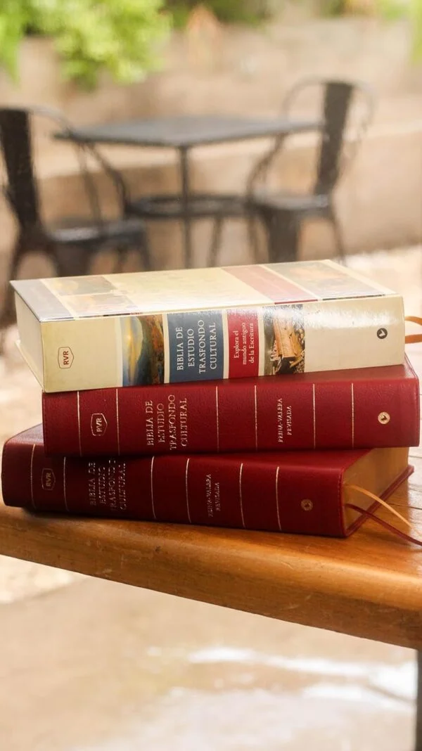 Biblia de estudio trasfondo cultural RVR (El contexto lo cambia todo) Leathersoft Rojo vino - Image 8