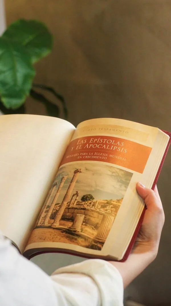 Biblia de estudio trasfondo cultural RVR (El contexto lo cambia todo) Leathersoft Rojo vino - Image 7