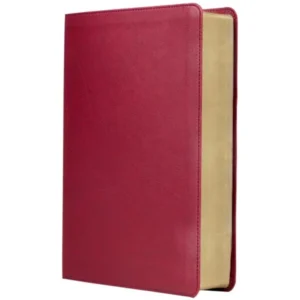 Biblia de estudio trasfondo cultural RVR (El contexto lo cambia todo) Leathersoft Rojo vino
