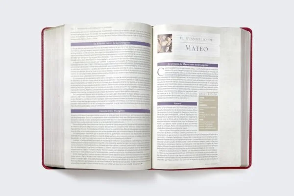 Biblia de estudio trasfondo cultural RVR (El contexto lo cambia todo) Leathersoft Rojo vino - Image 6