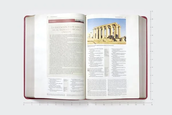 Biblia de estudio trasfondo cultural RVR (El contexto lo cambia todo) Leathersoft Rojo vino - Image 4