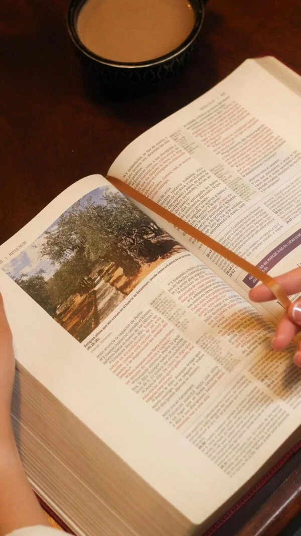 Biblia de estudio trasfondo cultural RVR (El contexto lo cambia todo) Leathersoft Rojo vino - Image 5