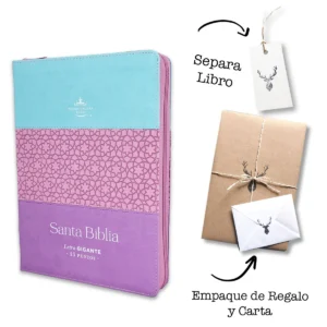 Biblia Rvr 1960 15 Puntos Tricolor Azul/Rosa/Lila Indice Cierre Canto Platea
