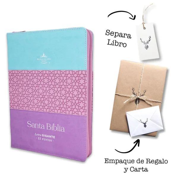 Biblia Rvr 1960 15 Puntos Tricolor Azul/Rosa/Lila Indice Cierre Canto Platea