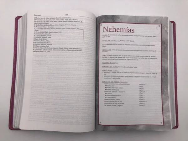Biblia de estudio Thompson – Mujer RVR1960 - Image 3