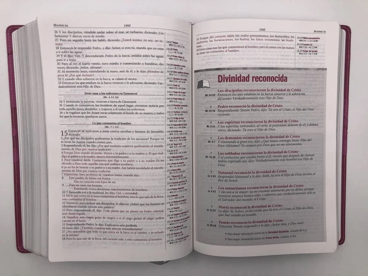 Biblia de estudio Thompson – Hombre RVR1960 - Image 6