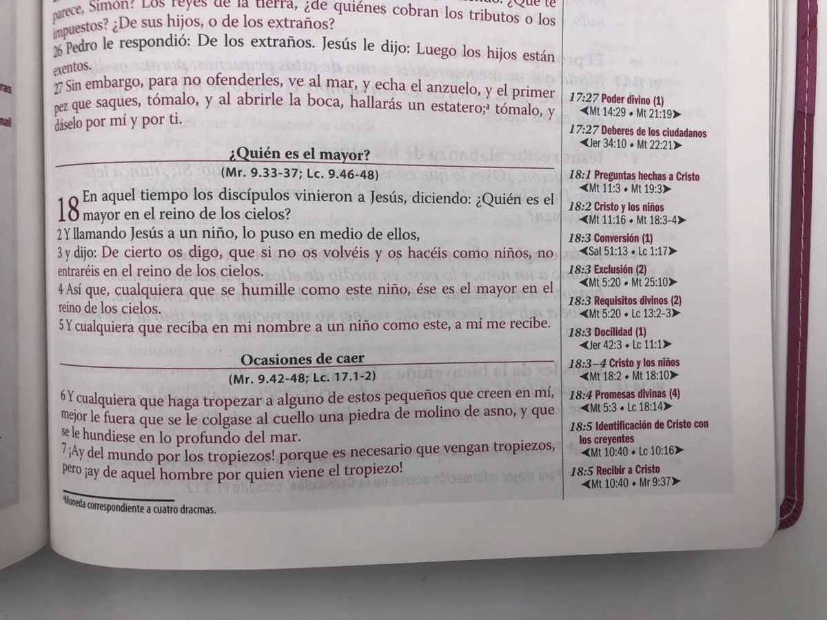 Biblia de estudio Thompson – Hombre RVR1960 - Image 7