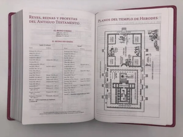 Biblia de estudio Thompson – Mujer RVR1960 - Image 8