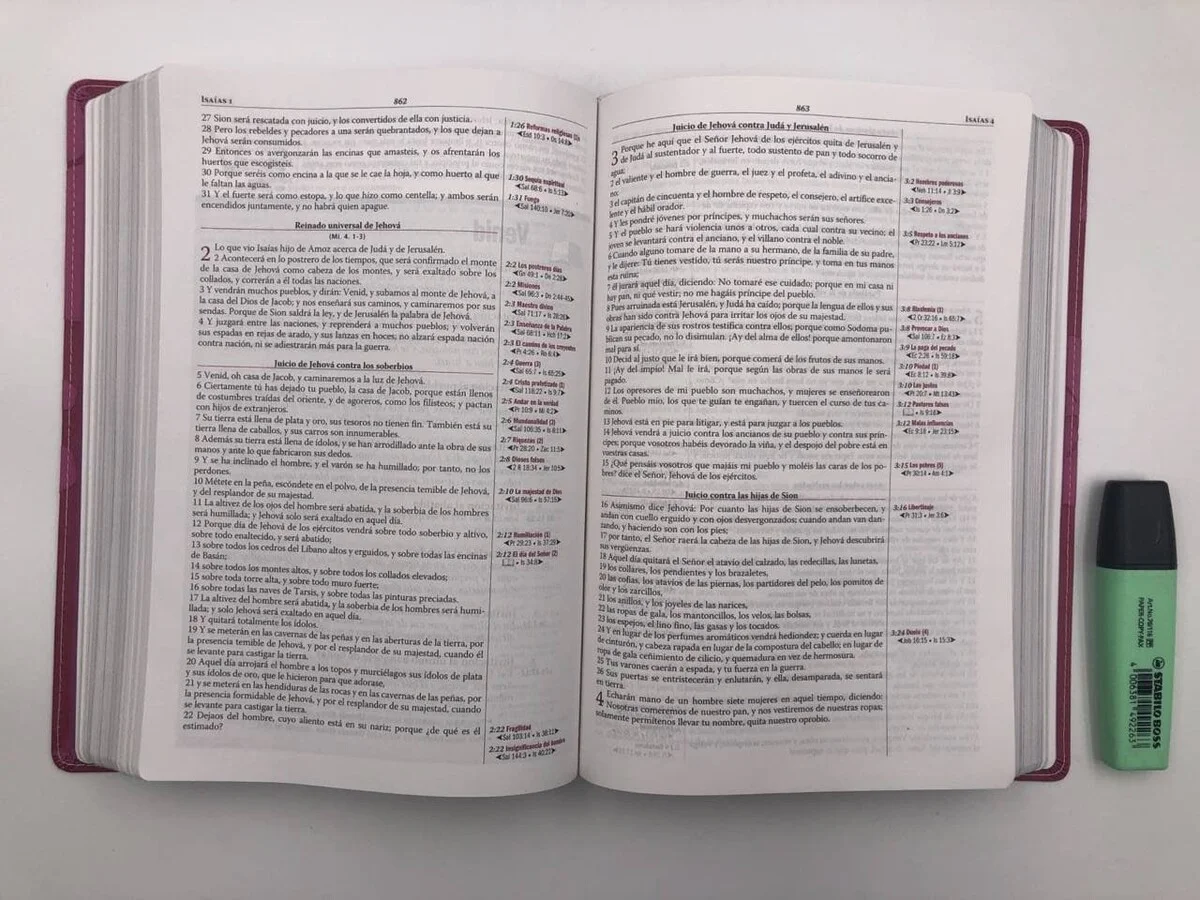 Biblia de estudio Thompson – Hombre RVR1960 - Image 3