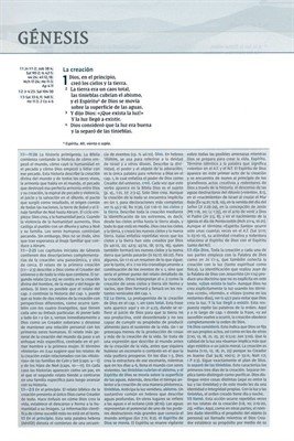 Biblia De Estudio NVI /Teología Bíblica Color Cafe Sigue el plan redentor de Dios como se desenlaza en las escrituras - Image 3