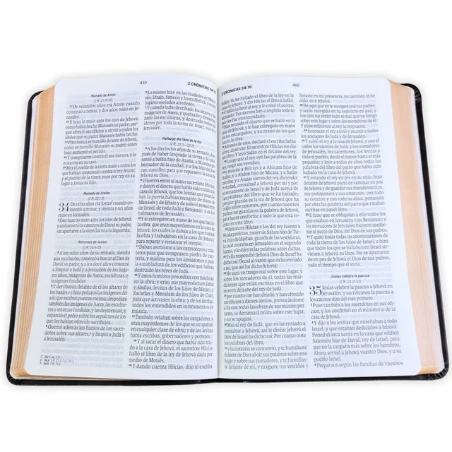 Biblia RVR60 Letra Grande 11 pts – Moka Diseño Águila - Image 4