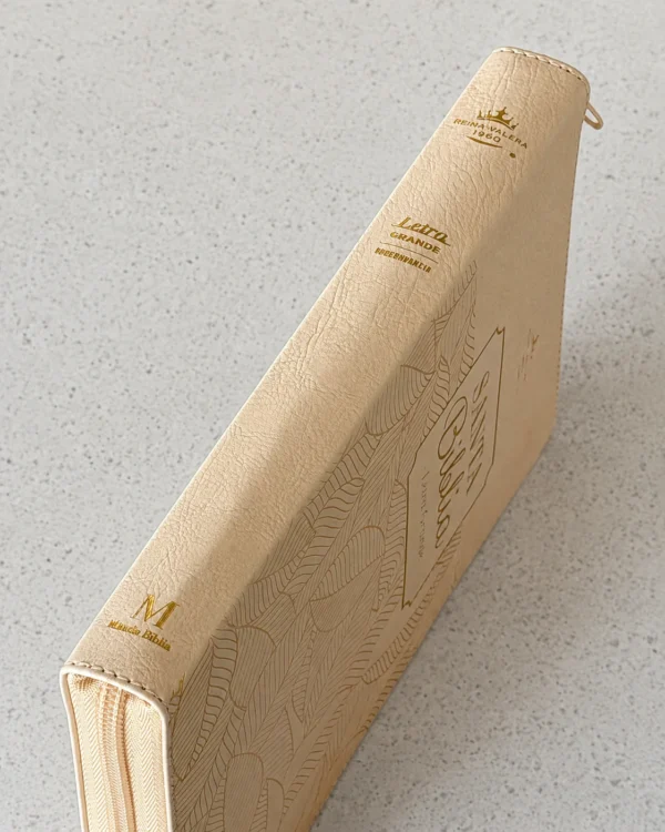 Biblia RVR1960 Letra Grande 11.5 pts – Beige hojas piel cierre - Image 9