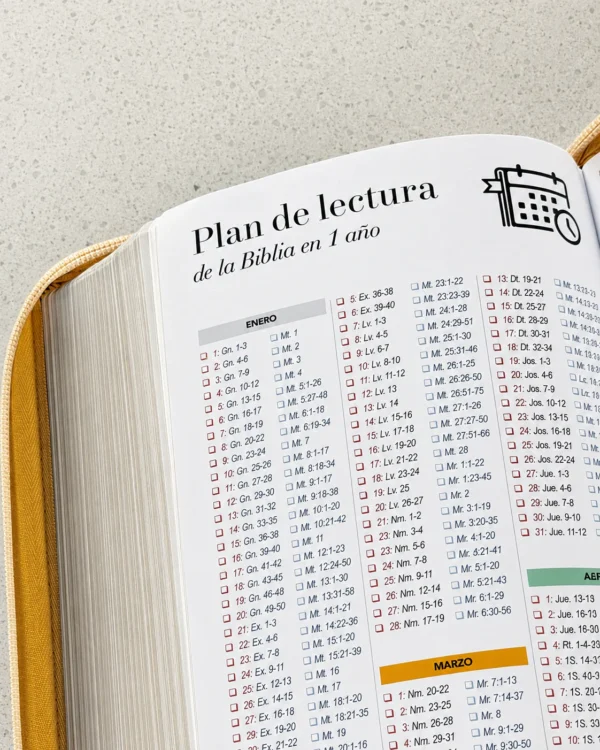 Biblia RVR1960 Letra Grande 11.5 pts – Beige hojas piel cierre - Image 7