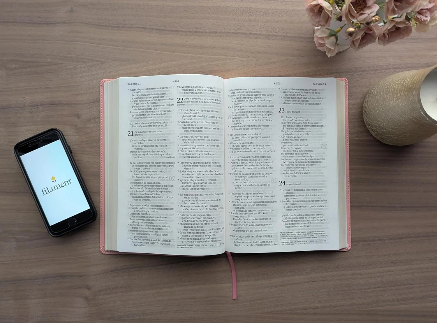 Biblia NTV Rosada Letra Grande Ultrafina Filament - Image 6
