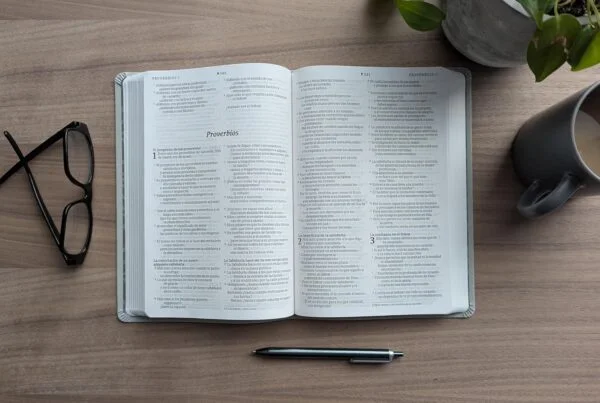 Biblia NTV Gris Letra Grande – Valor Premium Filament - Image 5