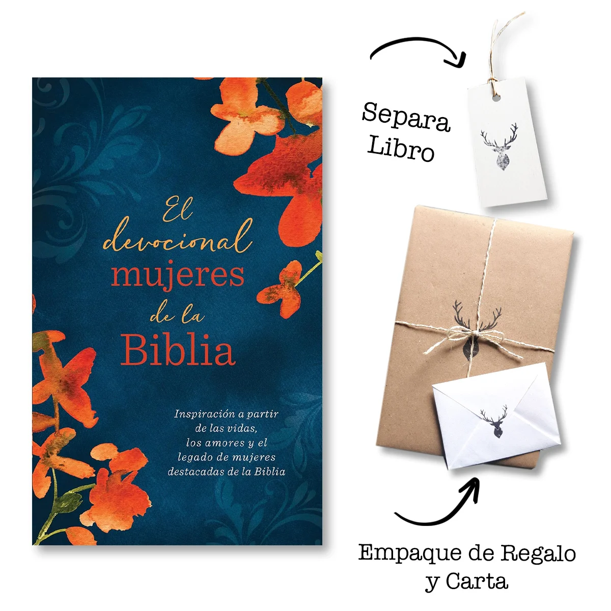 Devocional Mujeres De La Biblia Inspiración a partir de las vidas, los amores y el legado de mujeres destacadas de la Biblia