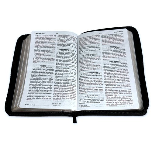 Biblia con Cierre Letra Grande 12 puntos RV1960, imit piel negro y gris - Image 3