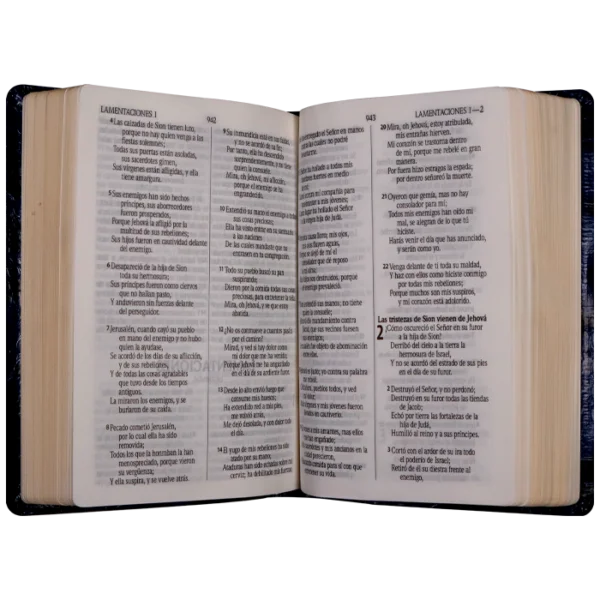 Biblia de Estudio Pastoral Reina Valera 1960 Mediana Letra Mediana Imitación Piel Azul - Image 4