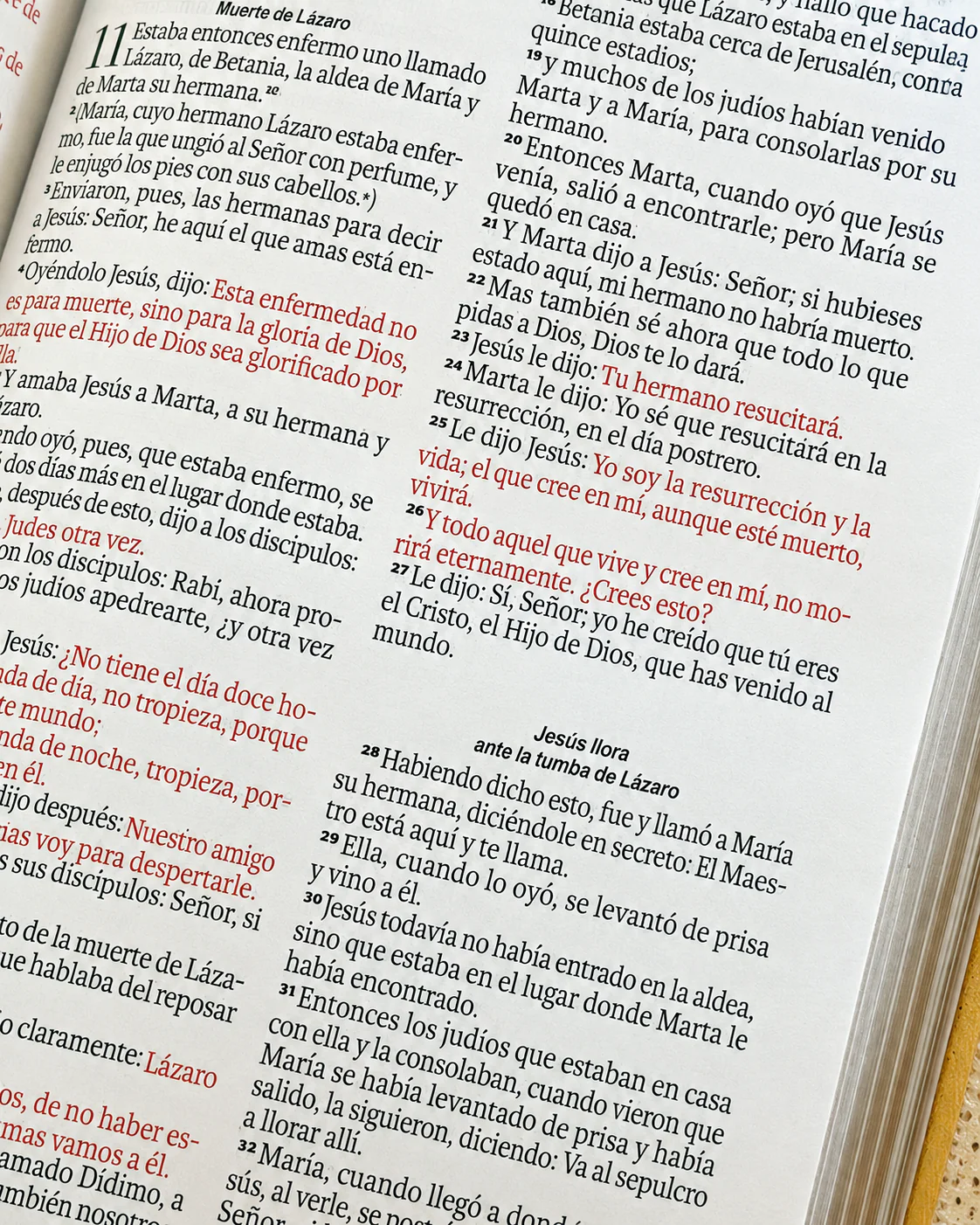 Biblia RVR1960 Letra Grande 11.5 pts – Beige hojas piel cierre - Image 5