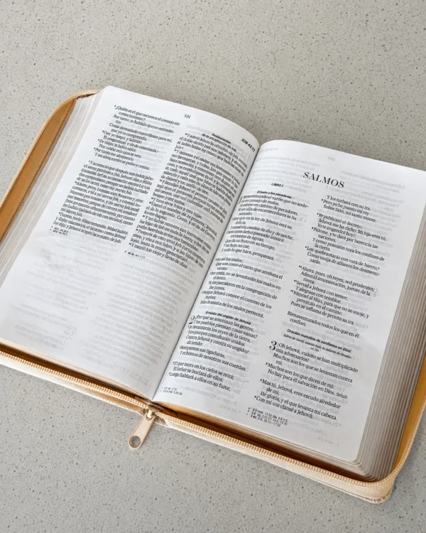 Biblia RVR1960 Letra Grande 11.5 pts – Beige hojas piel cierre - Image 6