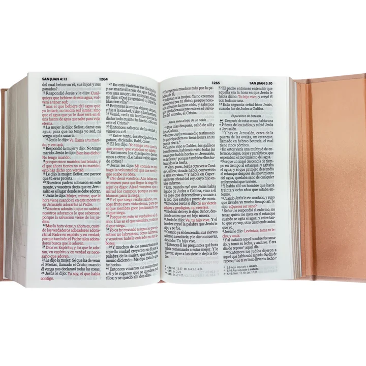 Biblia RVR 1960 Cartera Fucsia con Broche Magnético Compacta Letra 10 puntos - Image 5