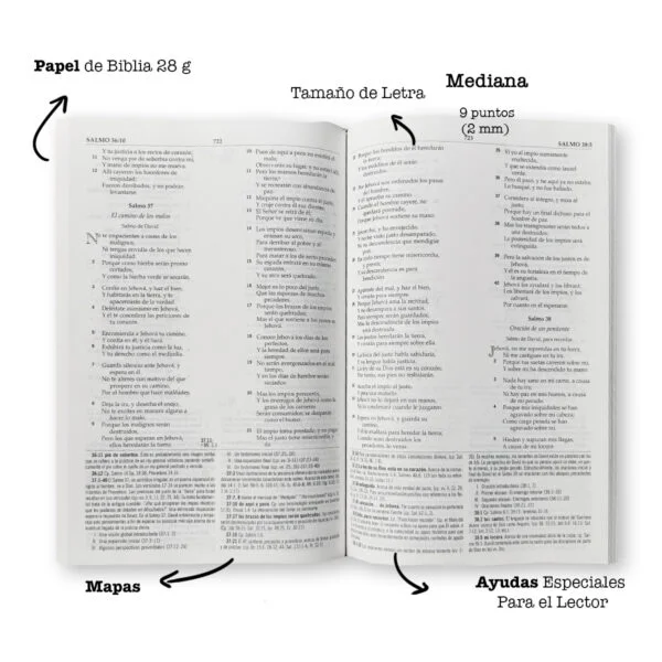 Biblia de Estudio MacArthur Reina Varela 1960 Tapa Dura - Image 4