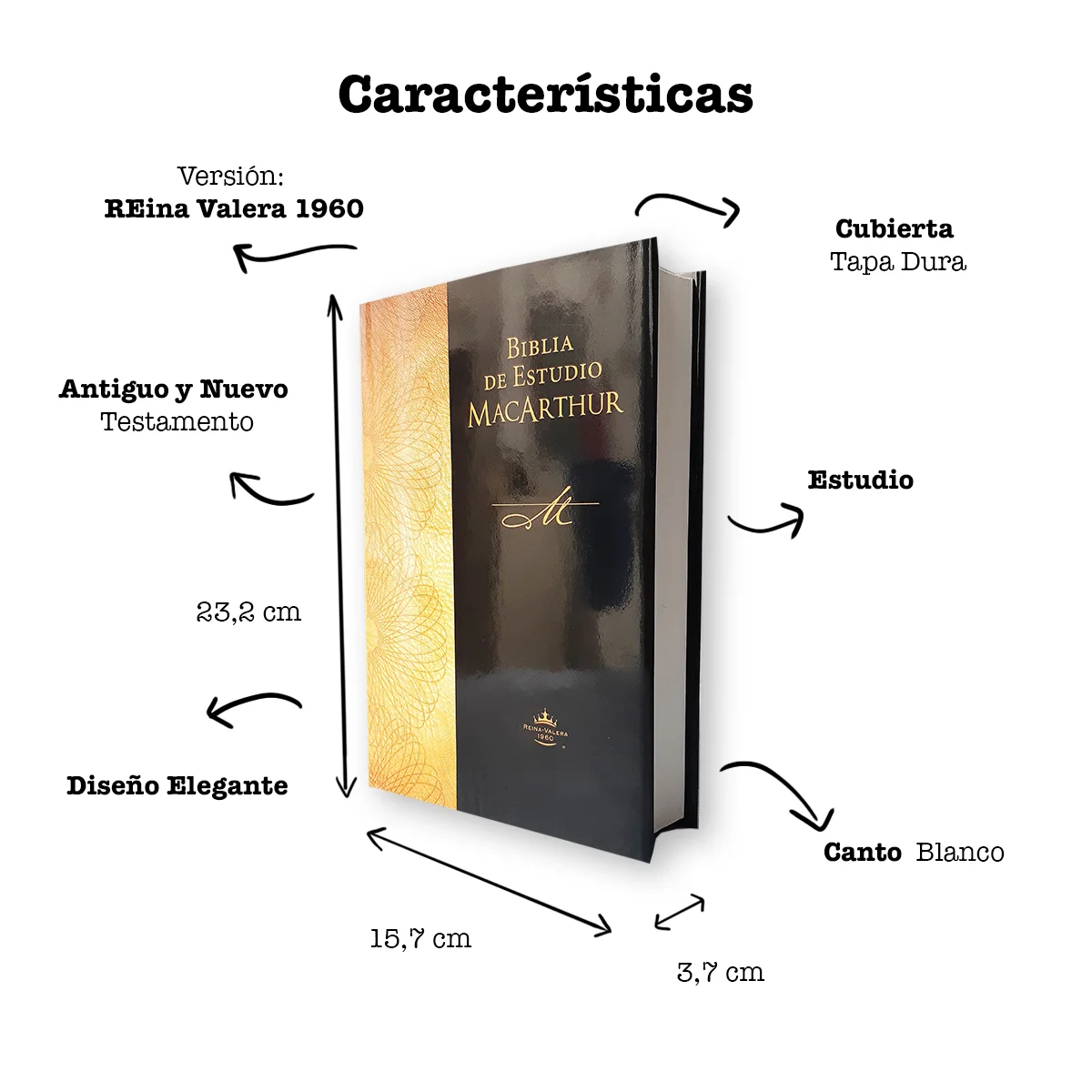 Biblia de Estudio MacArthur Reina Varela 1960 Tapa Dura - Image 3