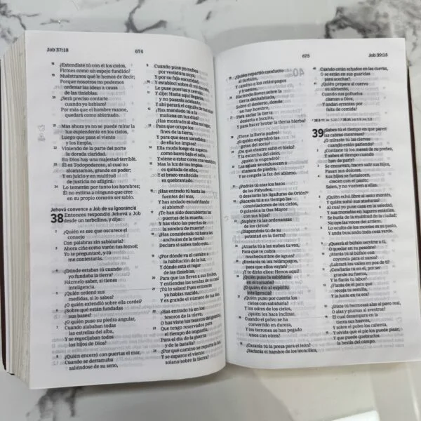 Biblia del Espíritu Santo RVR60 Versión de Estudio Piel Negro Descubre al Espíritu Santo desde Génesis hasta Apocalipsis. - Image 9