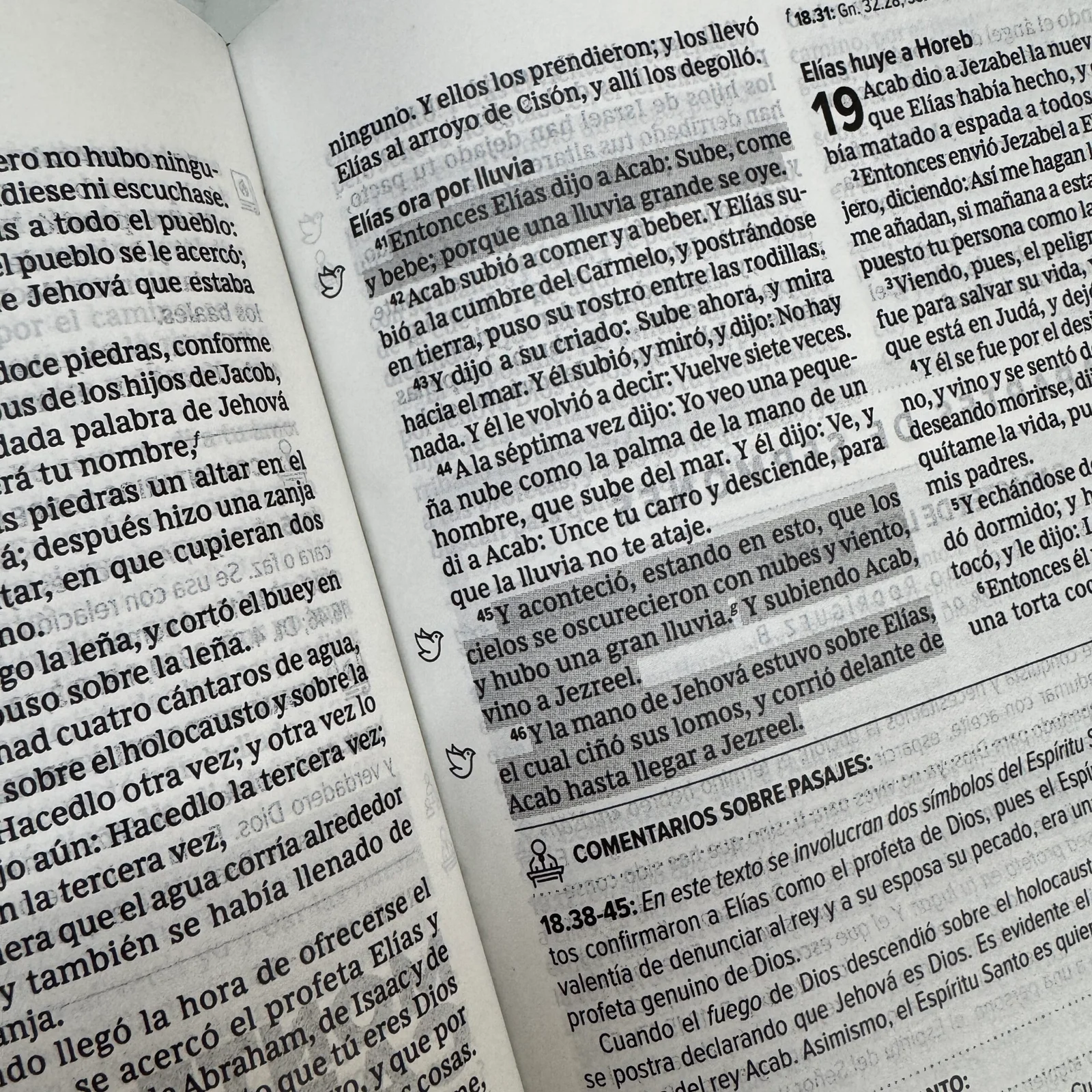 Biblia del Espíritu Santo RVR60 Versión de Estudio Piel Negro Descubre al Espíritu Santo desde Génesis hasta Apocalipsis. - Image 11