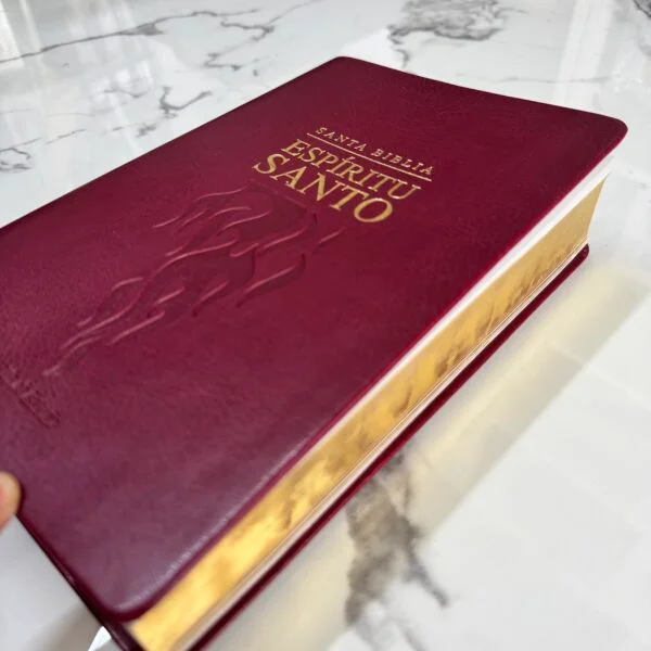Biblia del Espíritu Santo RVR60 Versión de Estudio Piel Vino tinto Descubre al Espíritu Santo desde Génesis hasta Apocalipsis. - Image 4