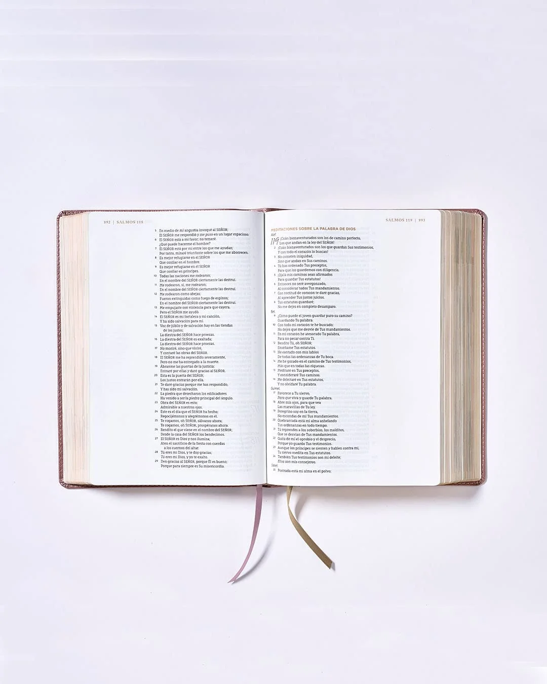 Biblia Ama a Dios Grandemente NBLA – Oro Rosa – Imitación piel - Image 6