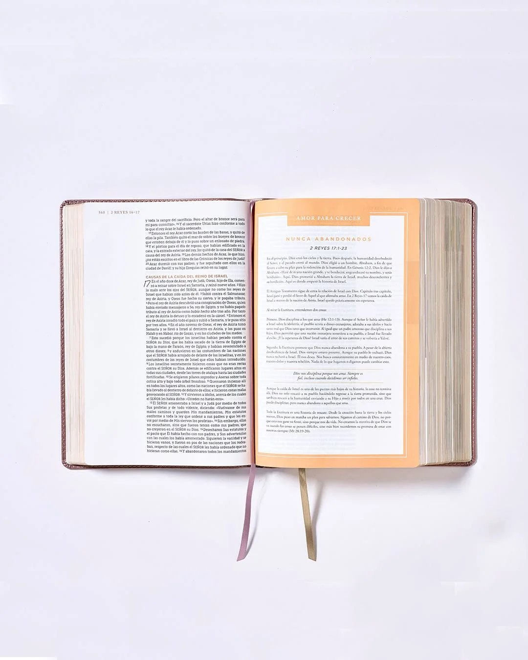 Biblia Ama a Dios Grandemente NBLA – Turquesa- Imitación piel - Image 5
