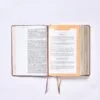 Biblia Ama a Dios Grandemente NBLA – Oro Rosa – Imitación piel - Image 11