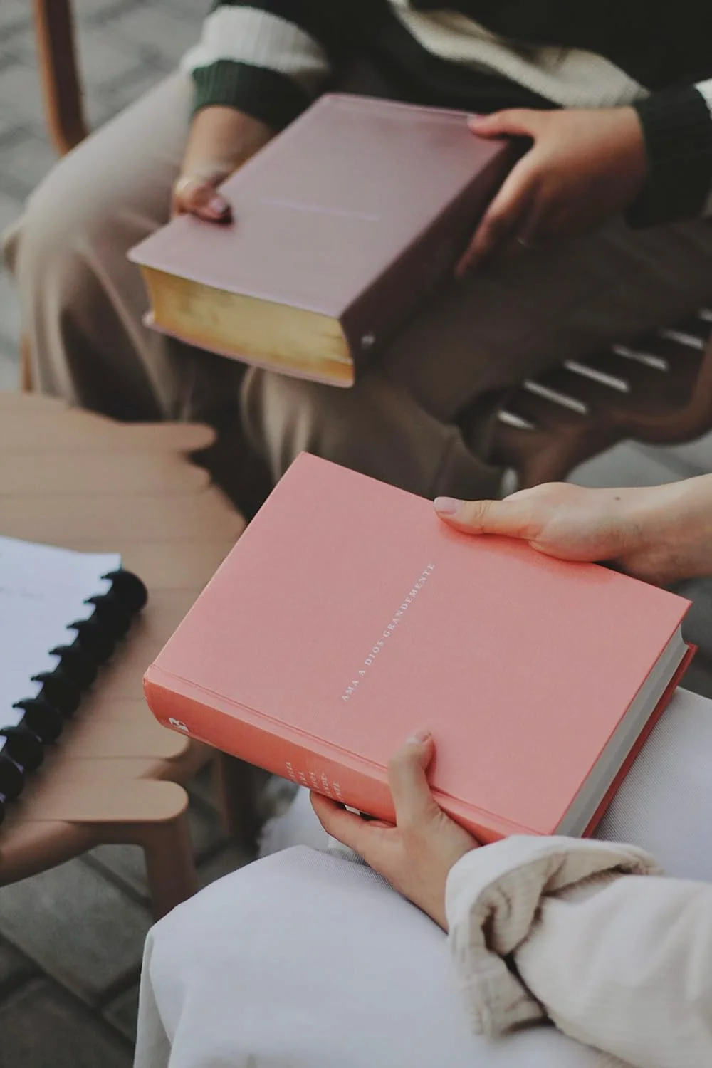 Biblia Ama a Dios Grandemente NBLA – Oro Rosa – Imitación piel - Image 8